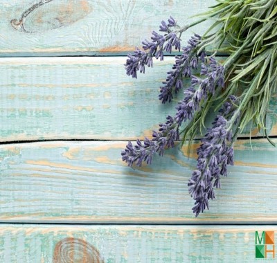  Tranh dán tường nhập khẩu Hàn Quốc hoa lavender FW -153